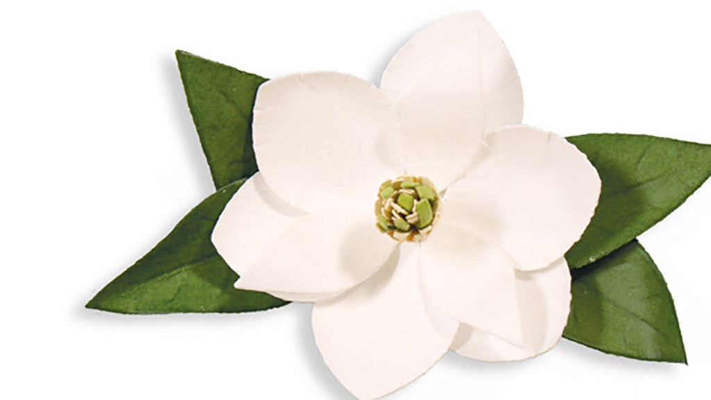 The "How-To" on Create A Flower Series: S2-196 Magnolia
