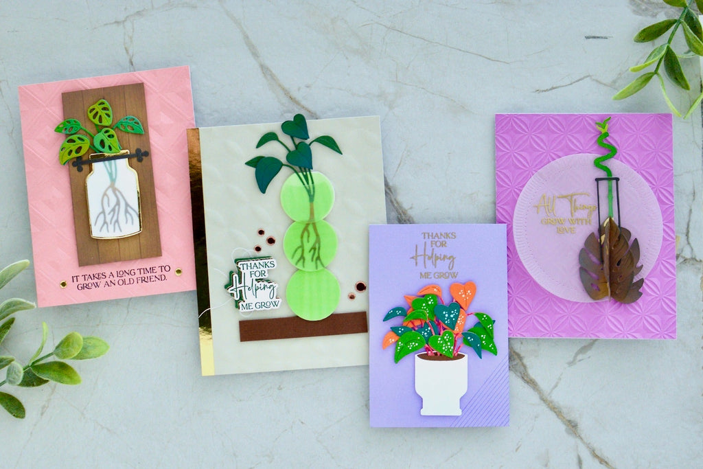 Multiple Paper Propagation Stations using the Propagation Garden Collection