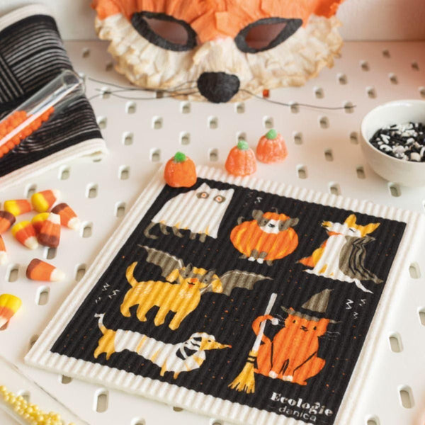 Halloween lifestyle photo