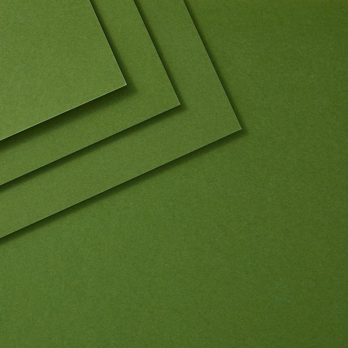 Fern ColorWheel Cardstock 12