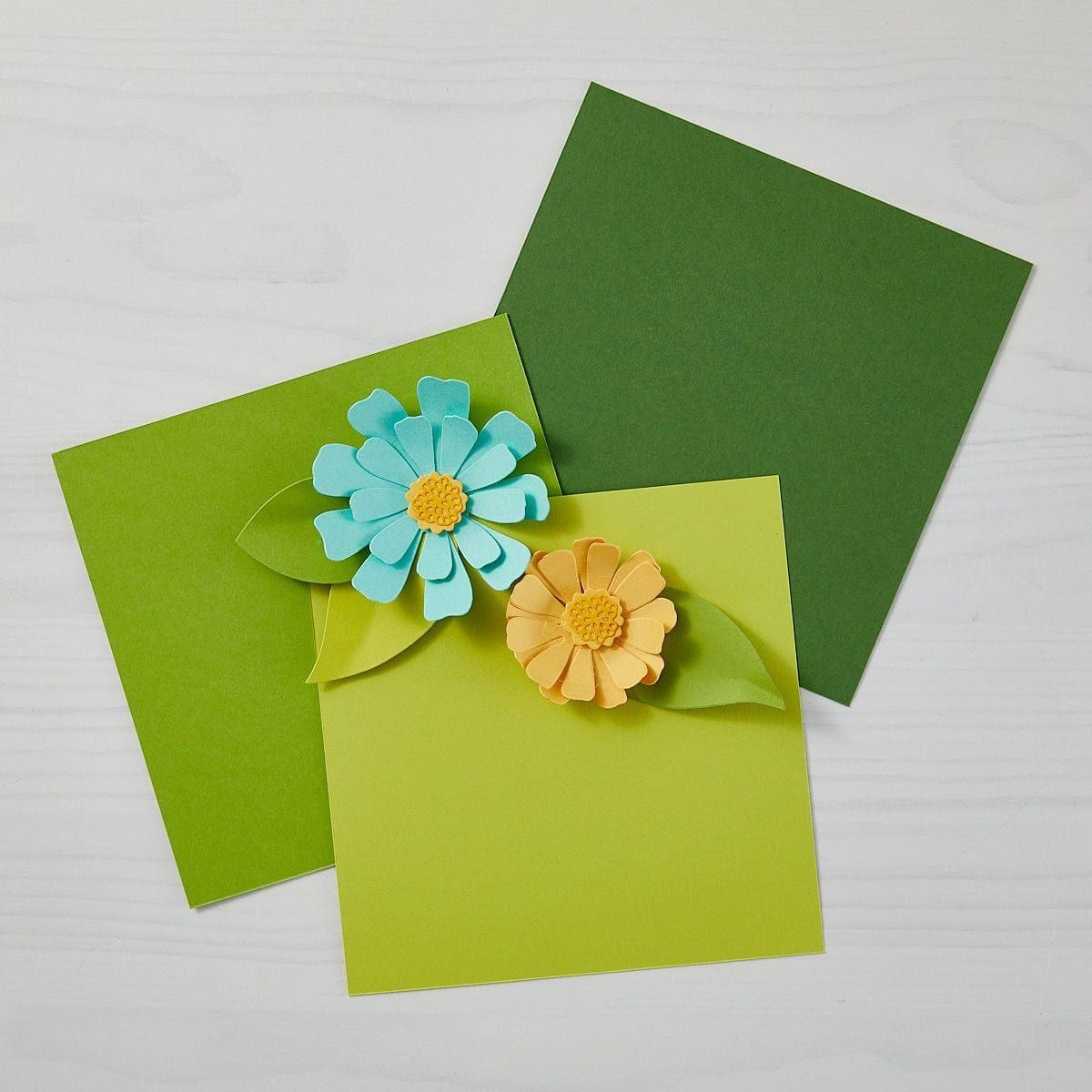 Rainforest ColorWheel Cardstock 12