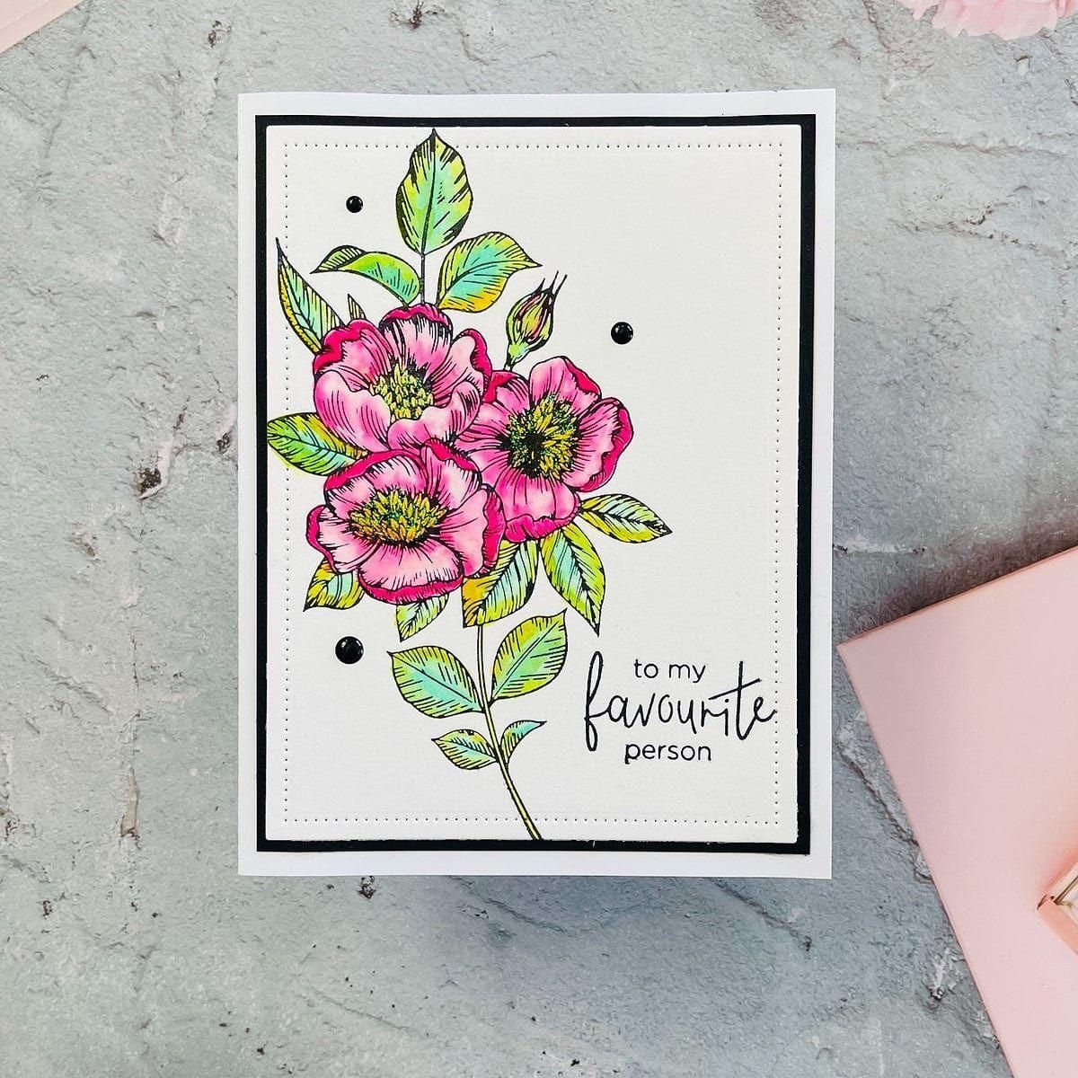 BetterPress Letterpress System