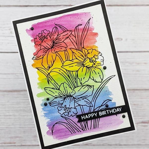 Water Brush Set - 3 Pack