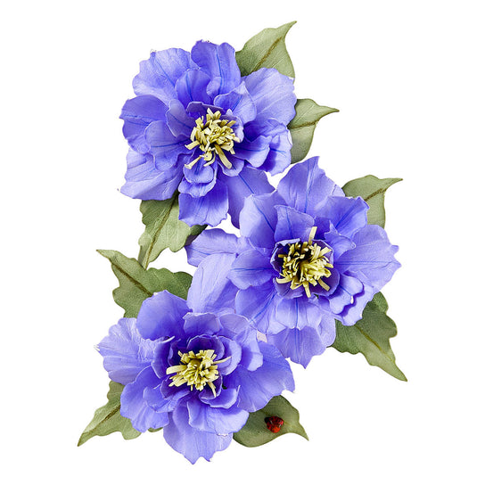 Clematis Poet Etched Dies