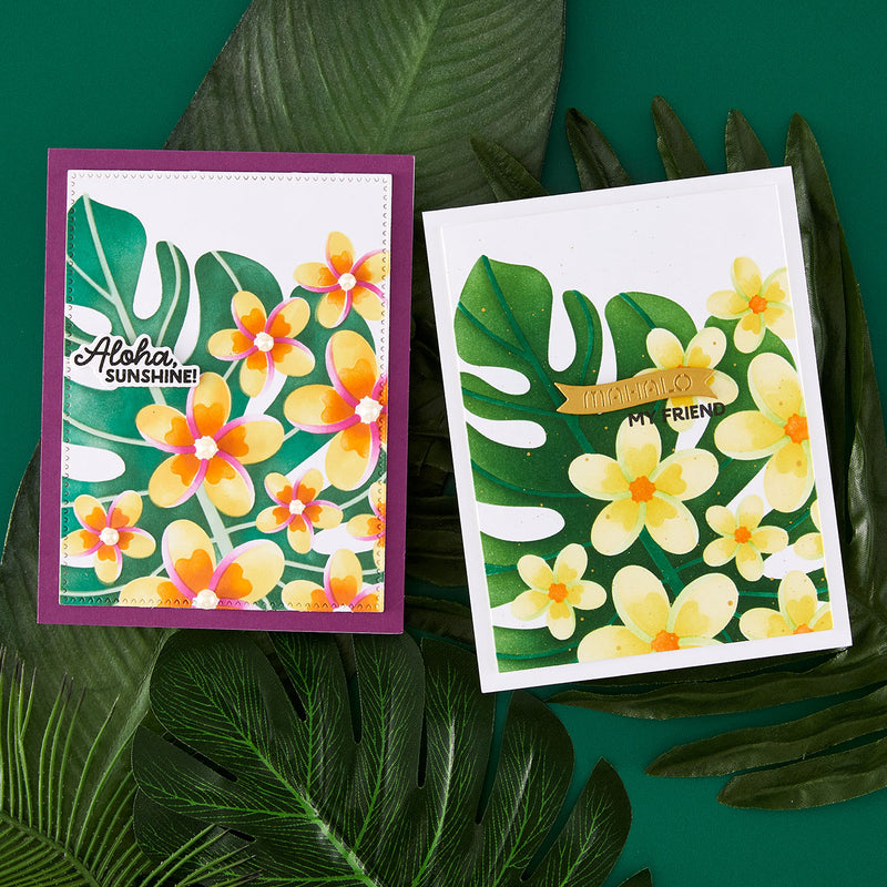 Stencil of the Month Membership