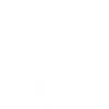 Social icon 2