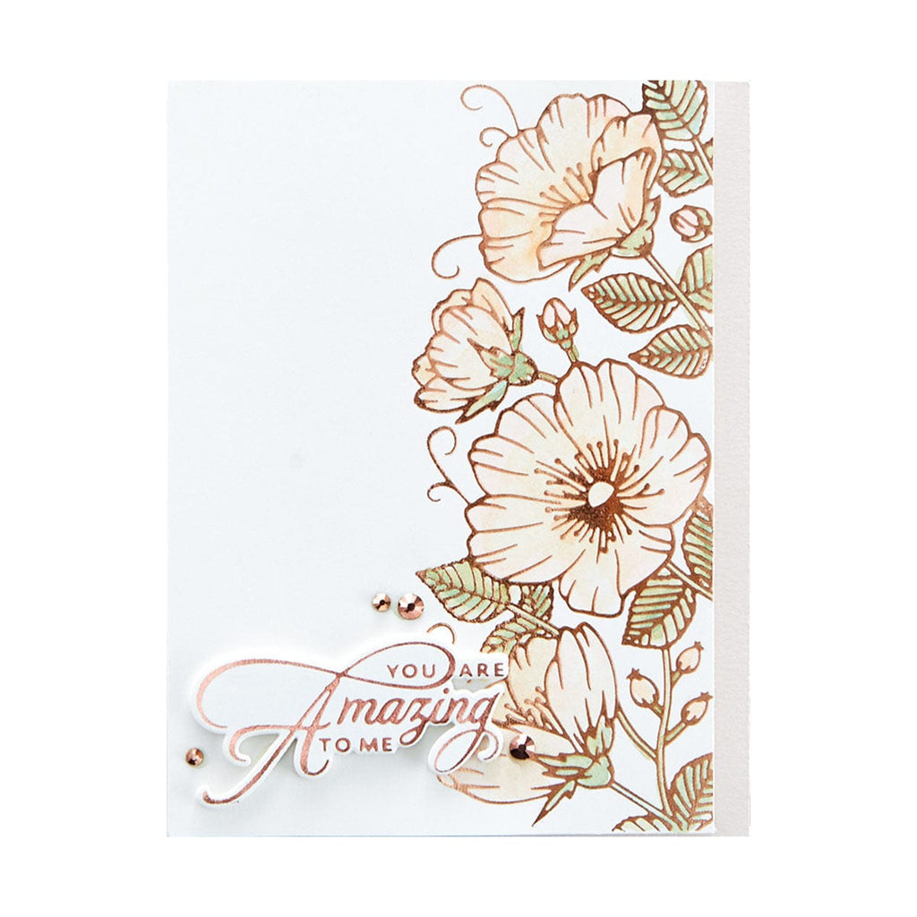 Sweet Blooms Border Glimmer Hot Foil Plate from Delicate Impressions Collection by Becca Feeken (GLP-234) Product Example