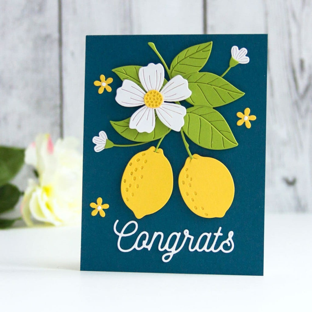 Smooth Lines Mix & Match Sentiments Etched Dies from the Be Bold Collection (S4-1168) Congrats Card Project Example by Jean Manis