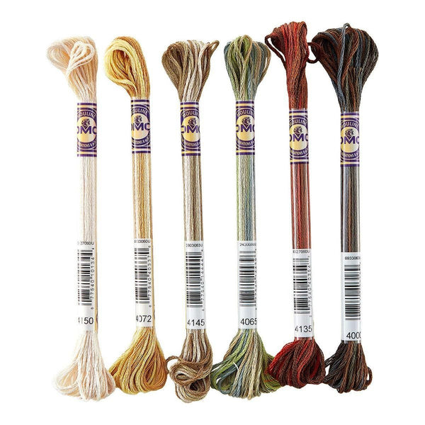 DMC Color Variations Floss Bundle Neutral Tones 6-Pack